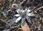 DSCF1096.JPG