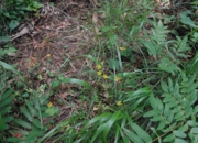 DSC_8273.JPG