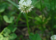 DSC_8077.jpg