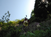 DSC_7912.jpg