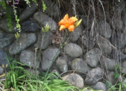 DSC_1283.jpg