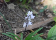 DSC_1324.jpg