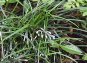 DSC_1317.JPG