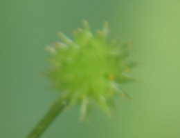 photo1.jpg