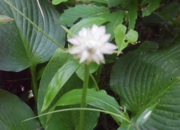 DSC_1414.jpg