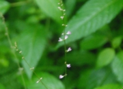 DSC_8493.jpg