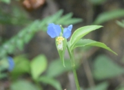 DSC_1849.jpg