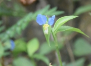 DSC_1850.jpg