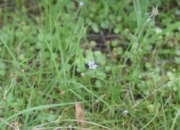 DSC_1664.JPG