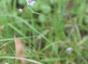 DSC_1665.jpg