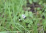 DSC_1666.JPG