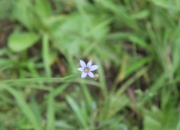 DSC_1887.JPG