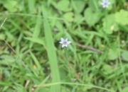 DSC_1891.JPG