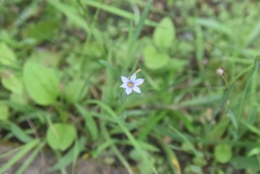 DSC_1888.JPG