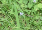 DSC_1891.JPG