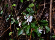 DSC_4045.jpg
