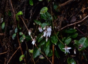 DSC_4046.jpg