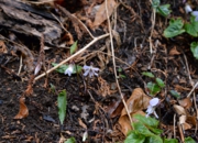 DSC_4047.jpg