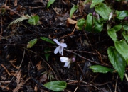 DSC_4048.jpg