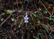 DSC_4049.jpg