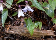 DSC_4053.jpg