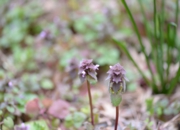 DSC_3456.jpg