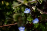 DSC_3222.jpg