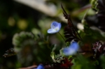 DSC_3223.jpg