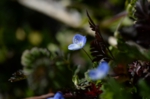 DSC_3224.jpg
