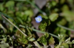 DSC_3232.jpg