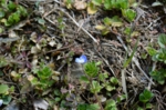 DSC_3406.jpg