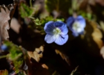 DSC_3218.jpg