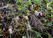 DSC_4206.jpg