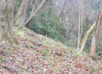 DSC_4306.jpg