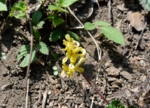 DSC_4541.jpg