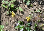 DSC_4546.jpg