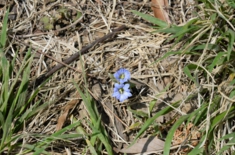 DSC_4587.jpg