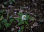 DSC_4904.jpg