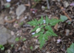 DSC_4905.jpg