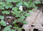 DSC_4906.jpg