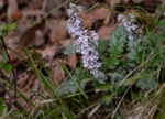 DSC_5092.jpg