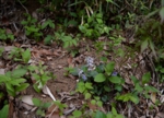 DSC_5095.jpg
