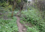 DSC_5067.jpg
