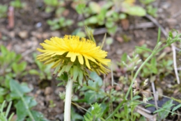 thumb_DSC_4671_1024.jpg