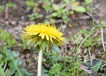 thumb_DSC_4671_1024.jpg